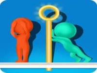 Pin Puzzle image