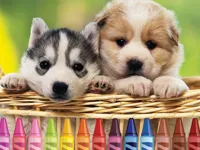 4GameGround - Puppy Coloring image